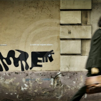Photo Street-Art d'un cadre portant une sacoche et passant devant un graffiti